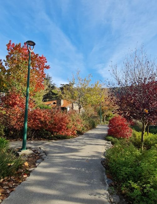 קיבוץ מרום גולן – תצפית מאגר בנטל וחוות הסוסים